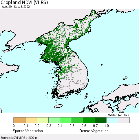 Korea Cropland NDVI (VIIRS) Thematic Map For 8/29/2022 - 9/5/2022