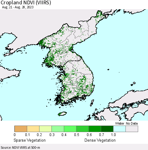 Korea Cropland NDVI (VIIRS) Thematic Map For 8/21/2023 - 8/28/2023
