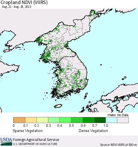 Korea Cropland NDVI (VIIRS) Thematic Map For 8/21/2023 - 8/31/2023
