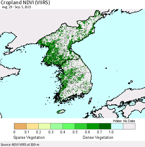Korea Cropland NDVI (VIIRS) Thematic Map For 8/29/2023 - 9/5/2023