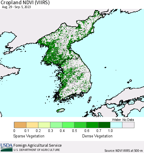Korea Cropland NDVI (VIIRS) Thematic Map For 9/1/2023 - 9/10/2023