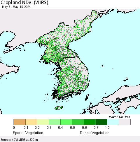 Korea Cropland NDVI (VIIRS) Thematic Map For 5/8/2024 - 5/15/2024