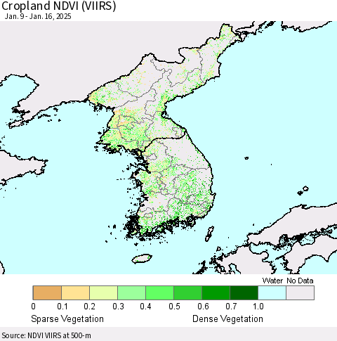 Korea Cropland NDVI (VIIRS) Thematic Map For 1/9/2025 - 1/16/2025