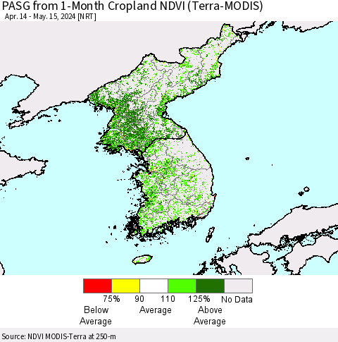 Korea PASG from 1-Month Cropland NDVI (Terra-MODIS) Thematic Map For 5/8/2024 - 5/15/2024