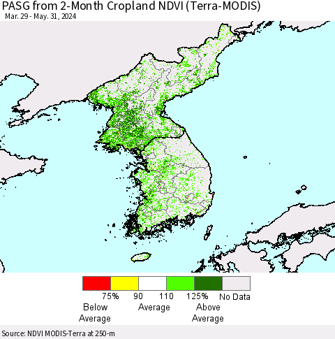 Korea PASG from 2-Month Cropland NDVI (Terra-MODIS) Thematic Map For 5/24/2024 - 5/31/2024