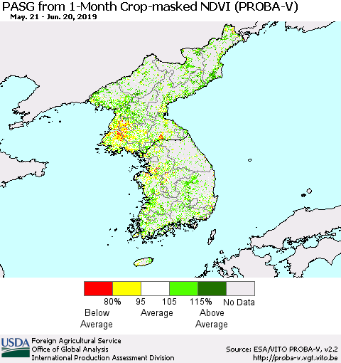 Korea PASG from 1-Month Crop-masked NDVI (PROBA-V) Thematic Map For 6/11/2019 - 6/20/2019