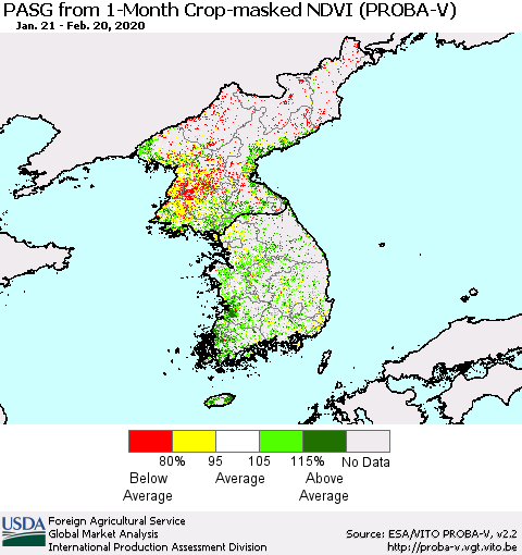 Korea PASG from 1-Month Crop-masked NDVI (PROBA-V) Thematic Map For 2/11/2020 - 2/20/2020