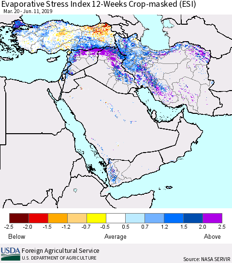 Middle East and Turkey Evaporative Stress Index (ESI), 12-Weeks over Croplands Thematic Map For 6/10/2019 - 6/16/2019