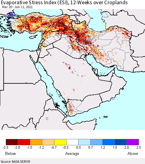 Middle East and Turkey Evaporative Stress Index (ESI), 12-Weeks over Croplands Thematic Map For 6/7/2021 - 6/13/2021