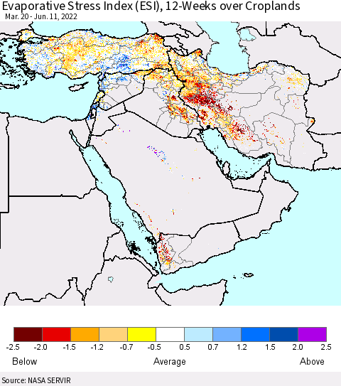 Middle East and Turkey Evaporative Stress Index (ESI), 12-Weeks over Croplands Thematic Map For 6/6/2022 - 6/12/2022