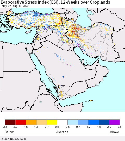 Middle East and Turkey Evaporative Stress Index (ESI), 12-Weeks over Croplands Thematic Map For 8/8/2022 - 8/14/2022