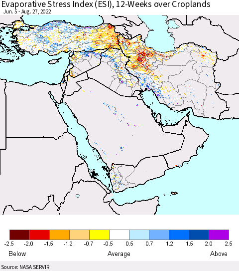 Middle East and Turkey Evaporative Stress Index (ESI), 12-Weeks over Croplands Thematic Map For 8/22/2022 - 8/28/2022