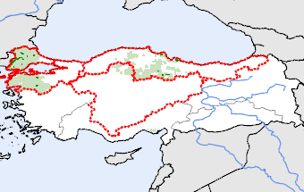 Turkey