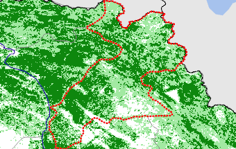 Arbil