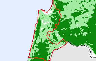 Haifa