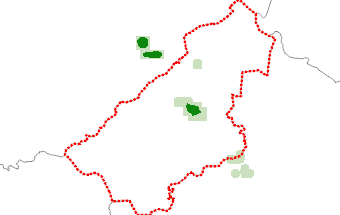 Al Qasim