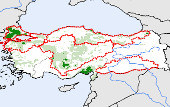 Turkey