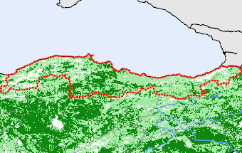 Blacksea