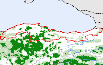 Blacksea