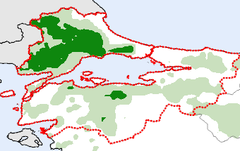 Marmara