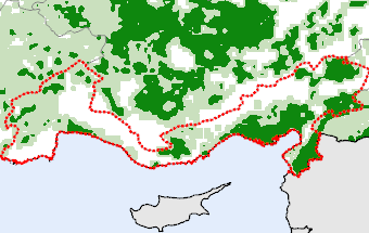 Mediterranean