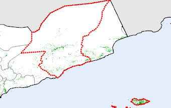 Hadramawt