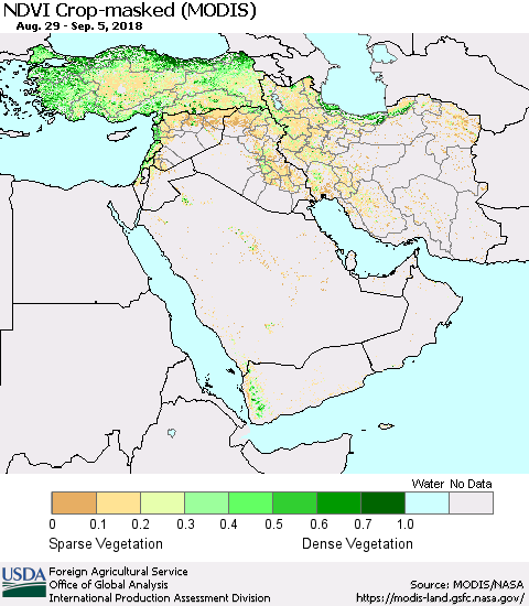 Middle East and Turkey Cropland NDVI (Terra-MODIS) Thematic Map For 9/1/2018 - 9/10/2018