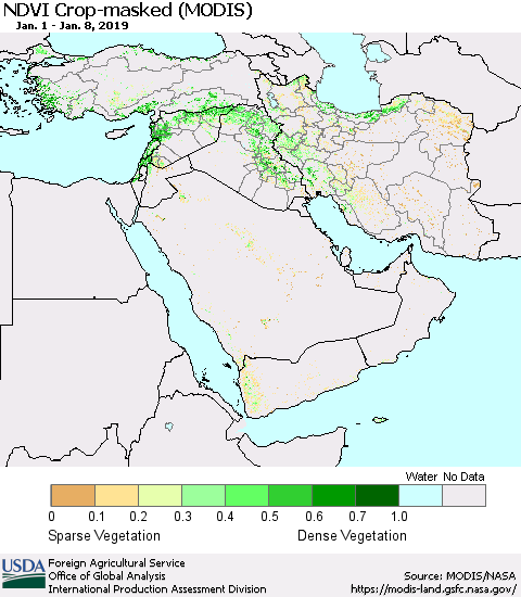 Middle East and Turkey Cropland NDVI (Terra-MODIS) Thematic Map For 1/1/2019 - 1/10/2019
