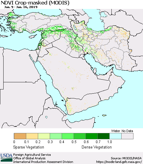 Middle East and Turkey Cropland NDVI (Terra-MODIS) Thematic Map For 1/11/2019 - 1/20/2019