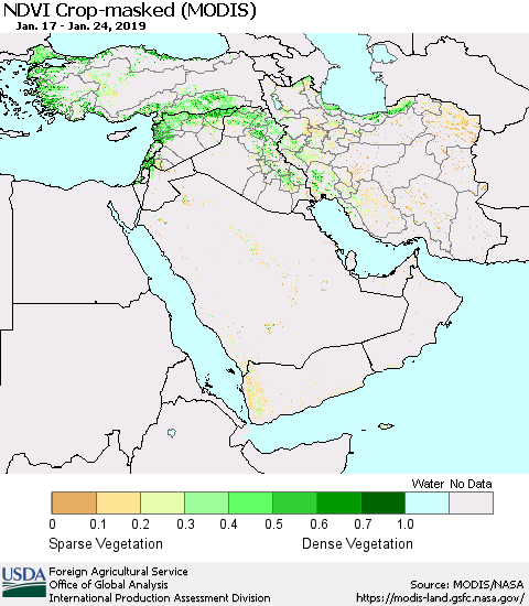 Middle East and Turkey Cropland NDVI (Terra-MODIS) Thematic Map For 1/21/2019 - 1/31/2019