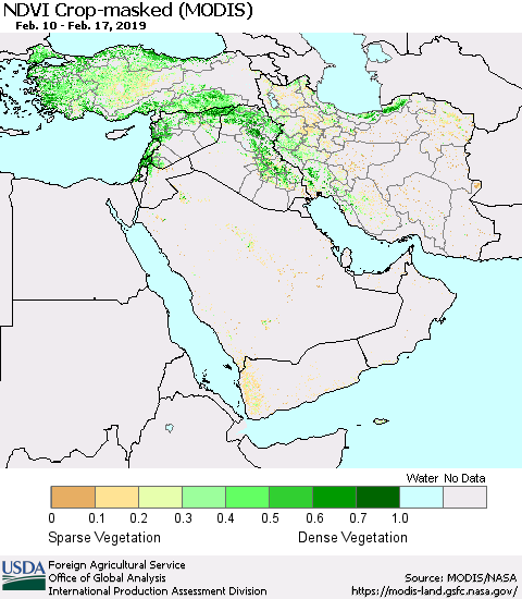 Middle East and Turkey Cropland NDVI (Terra-MODIS) Thematic Map For 2/11/2019 - 2/20/2019