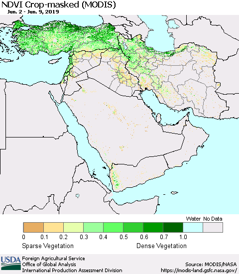 Middle East and Turkey NDVI Crop-masked (MODIS-Terra) Thematic Map For 6/1/2019 - 6/10/2019