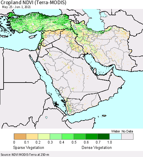 Middle East and Turkey Cropland NDVI (Terra-MODIS) Thematic Map For 5/25/2021 - 6/1/2021