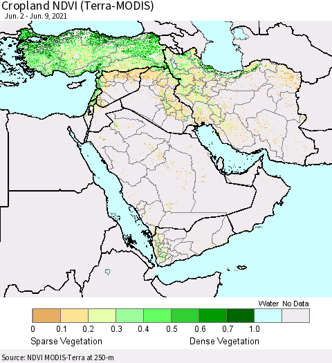 Middle East and Turkey Cropland NDVI (Terra-MODIS) Thematic Map For 6/2/2021 - 6/9/2021