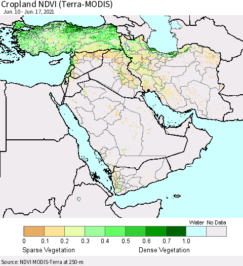 Middle East and Turkey Cropland NDVI (Terra-MODIS) Thematic Map For 6/10/2021 - 6/17/2021