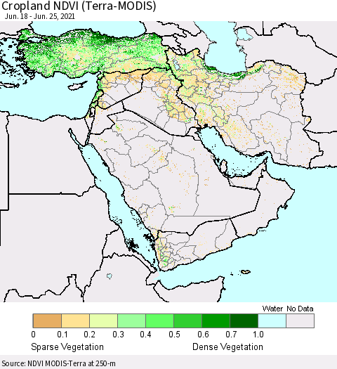 Middle East and Turkey Cropland NDVI (Terra-MODIS) Thematic Map For 6/18/2021 - 6/25/2021