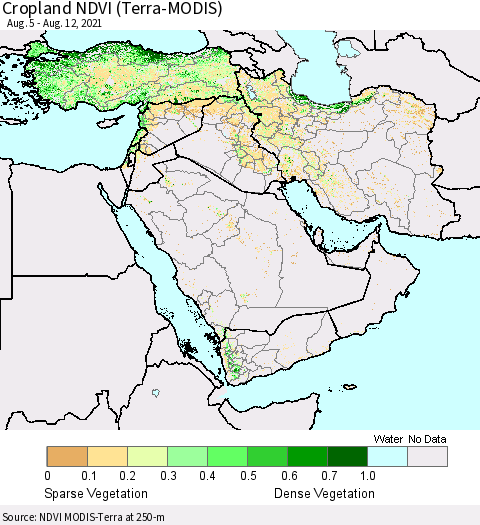 Middle East and Turkey Cropland NDVI (Terra-MODIS) Thematic Map For 8/5/2021 - 8/12/2021