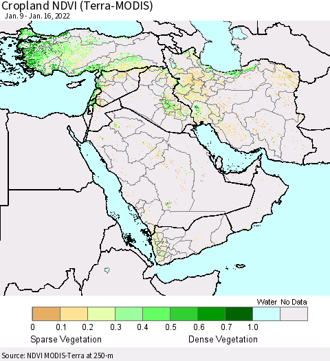 Middle East and Turkey Cropland NDVI (Terra-MODIS) Thematic Map For 1/9/2022 - 1/16/2022