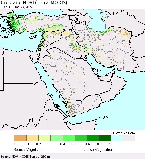 Middle East and Turkey Cropland NDVI (Terra-MODIS) Thematic Map For 1/17/2022 - 1/24/2022