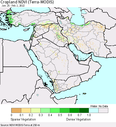 Middle East and Turkey Cropland NDVI (Terra-MODIS) Thematic Map For 1/25/2022 - 2/1/2022