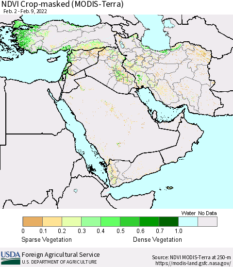 Middle East and Turkey NDVI Crop-masked (MODIS-Terra) Thematic Map For 2/1/2022 - 2/10/2022