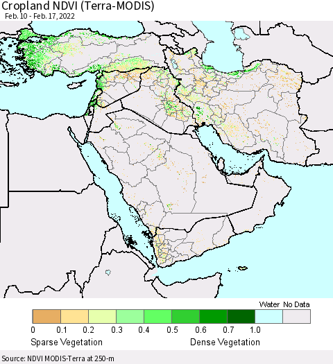 Middle East and Turkey Cropland NDVI (Terra-MODIS) Thematic Map For 2/10/2022 - 2/17/2022
