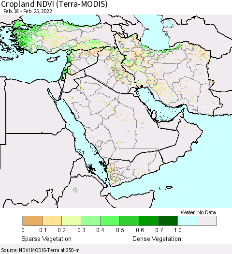 Middle East and Turkey Cropland NDVI (Terra-MODIS) Thematic Map For 2/18/2022 - 2/25/2022