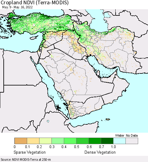 Middle East and Turkey Cropland NDVI (Terra-MODIS) Thematic Map For 5/9/2022 - 5/16/2022