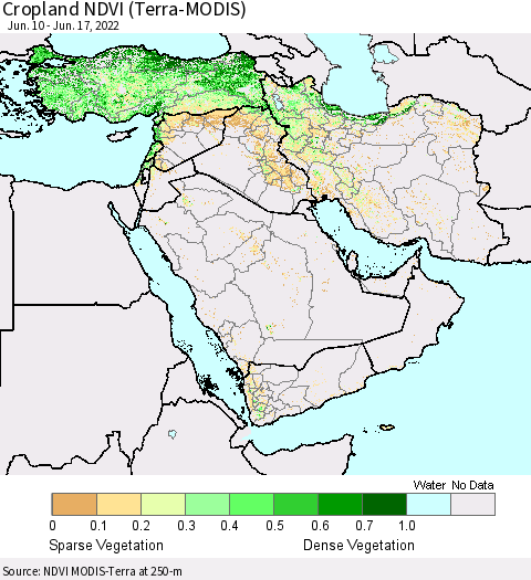 Middle East and Turkey Cropland NDVI (Terra-MODIS) Thematic Map For 6/10/2022 - 6/17/2022