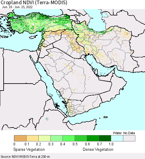Middle East and Turkey Cropland NDVI (Terra-MODIS) Thematic Map For 6/18/2022 - 6/25/2022