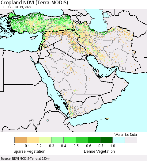 Middle East and Turkey Cropland NDVI (Terra-MODIS) Thematic Map For 7/12/2022 - 7/19/2022