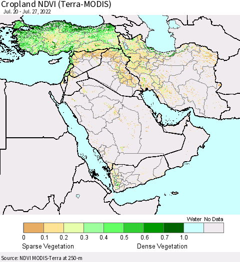 Middle East and Turkey Cropland NDVI (Terra-MODIS) Thematic Map For 7/20/2022 - 7/27/2022