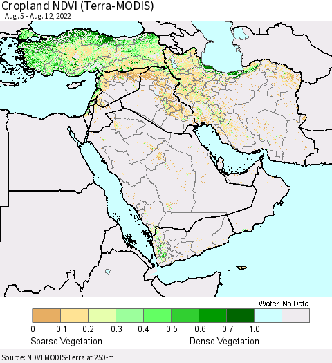 Middle East and Turkey Cropland NDVI (Terra-MODIS) Thematic Map For 8/5/2022 - 8/12/2022