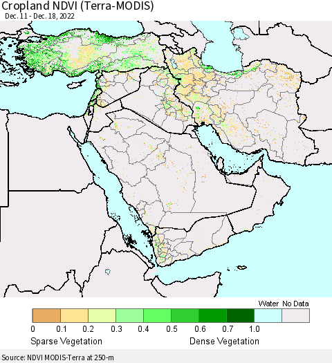 Middle East and Turkey Cropland NDVI (Terra-MODIS) Thematic Map For 12/11/2022 - 12/18/2022